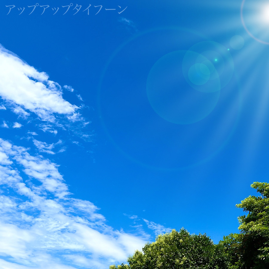 アップアップタイフーン 2022ver.
