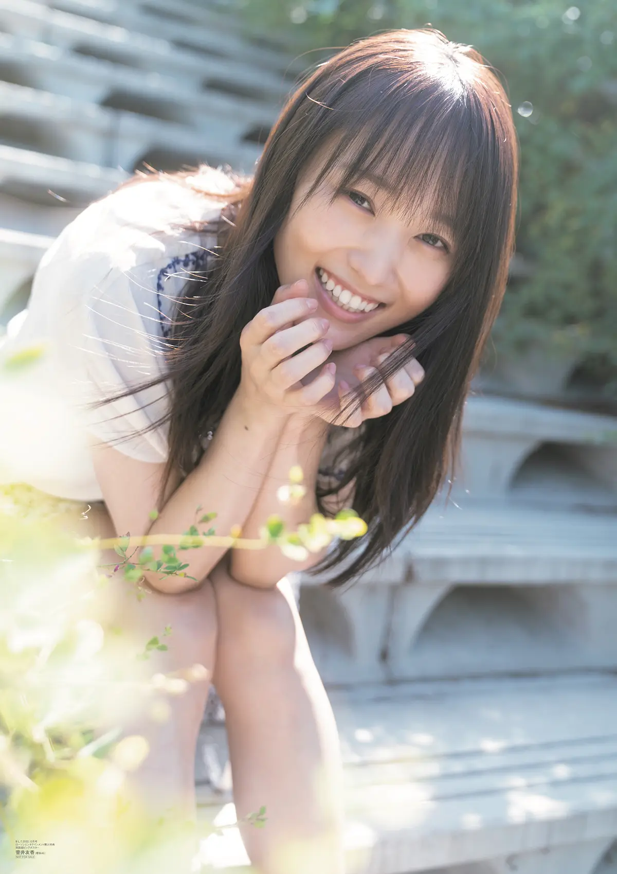 菅井友香