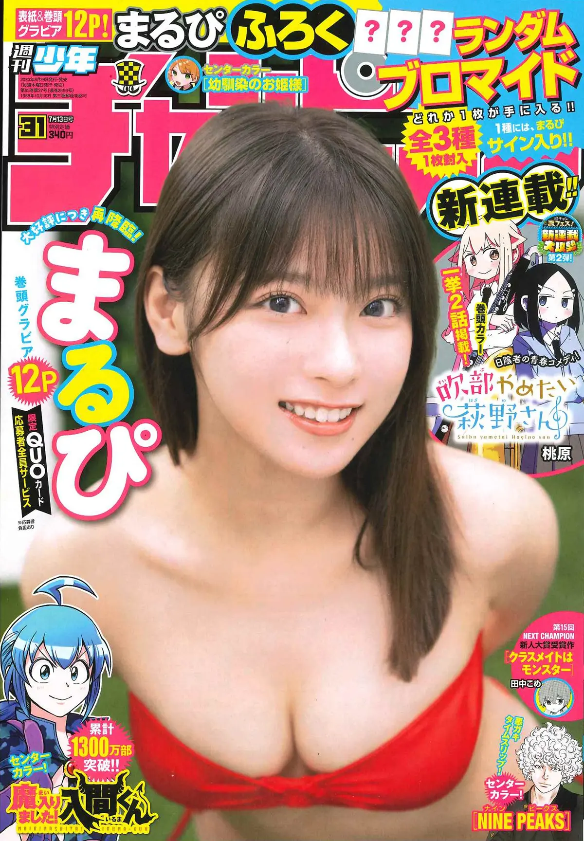 チャンピオン まるぴ