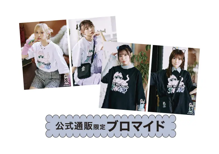 わーすた×SPINNS