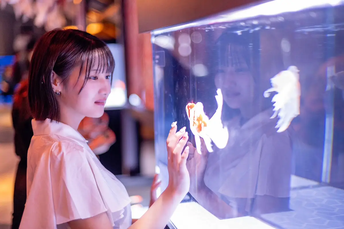 夢真