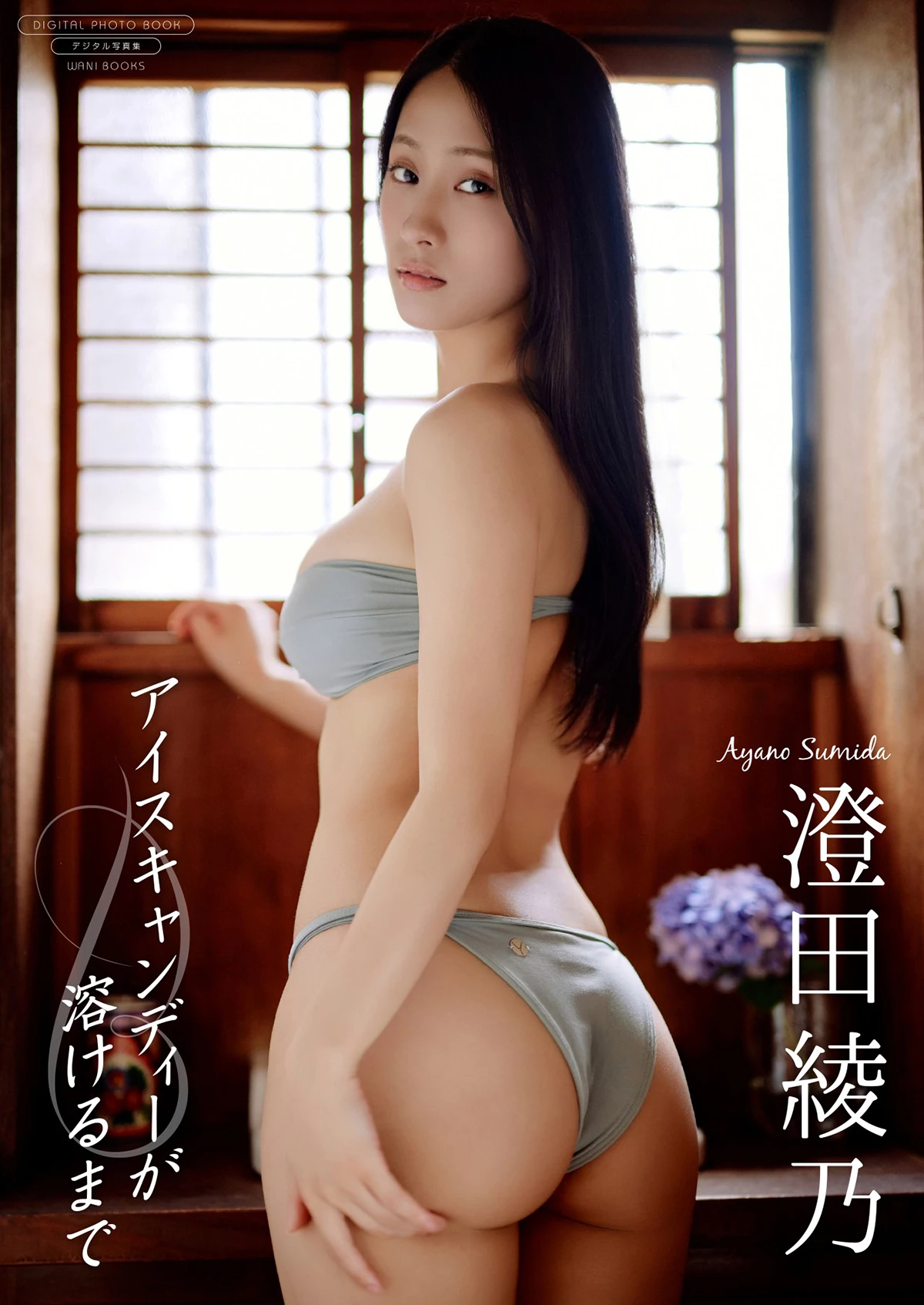 澄田綾乃『アイスキャンディーが溶けるまで』