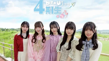 かすみ草とステラ