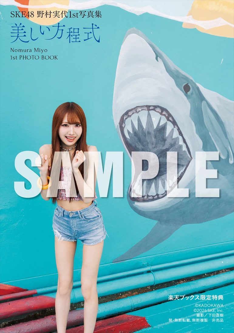 野村実代『美しい方程式』