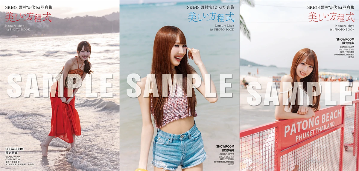 野村実代『美しい方程式』