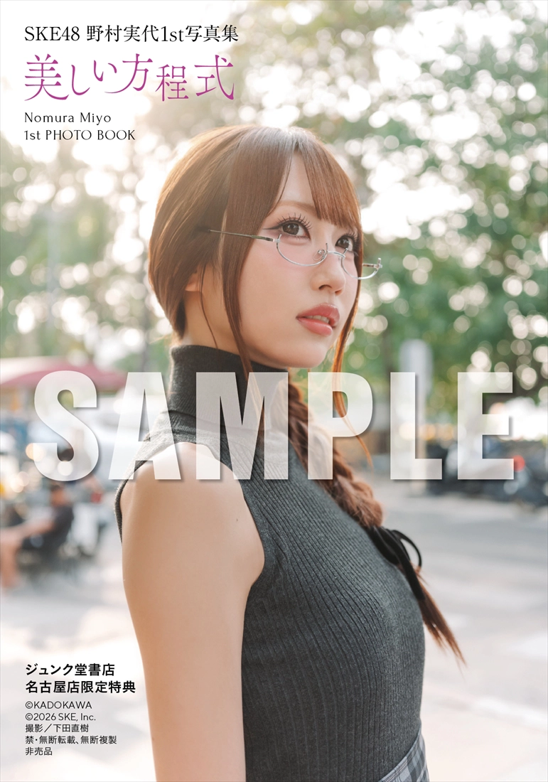 野村実代『美しい方程式』